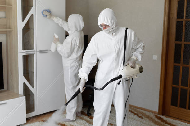 Best Toxic Mold Removal  in Omaha, TX