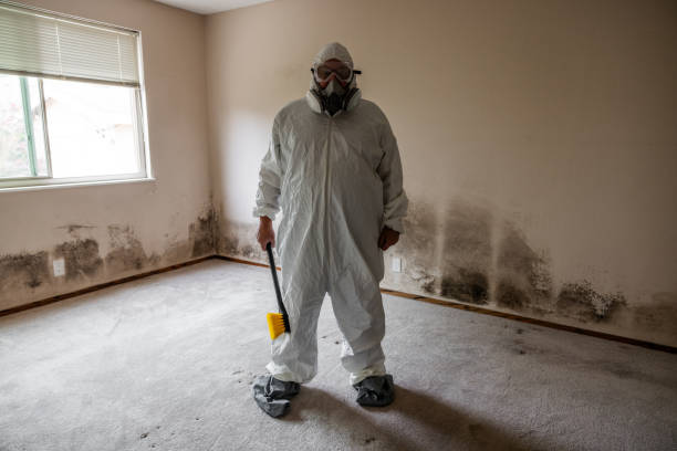 Best Mold Remediation Experts  in Omaha, TX